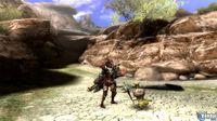 Nuevas im�genes de Monster Hunter 3 tri