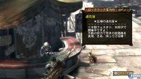 Nuevas im�genes de Monster Hunter 3 para Wii