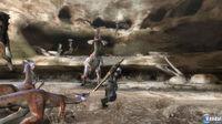 GC: Nuevas im�genes de Monster Hunter 3 Tri
