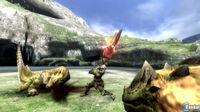 TGS: Nuevas im�genes y v�deo de Monster Hunter Tri