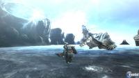 Nuevas im�genes de Monster Hunter 3 Tri
