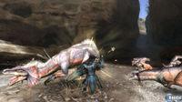 Nuevas im�genes de Monster Hunter 3 Tri