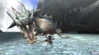Nuevas im�genes de Monster Hunter 3