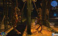 Nuevas im�genes de The Precursors