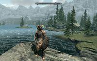 NVidia compara Skyrim en PC al m�nimo y m�ximo detalle gr�fico