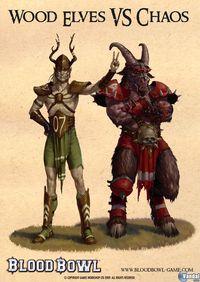 Imagen 52 de Blood Bowl para Ordenador