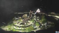 E3: Primeras im�genes de The Last Guardian