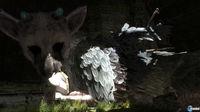 Imagen 74 de The Last Guardian para PlayStation 3