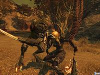 Imagen 76 de Divinity 2 - Ego Draconis para Ordenador