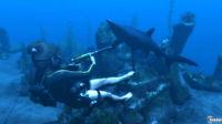 Nuevas im�genes de Tomb Raider Underworld