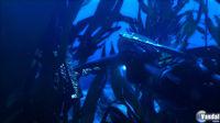 Imagen 31 de Tomb Raider Underworld para PlayStation 3