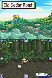 Imagen 26 de Mystery Dungeon: Shiren the Wanderer para Nintendo DS