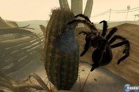 Imagen 12 de Deadly Creatures para Wii
