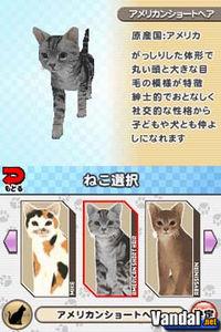Cr�a gatos con Nintendo DS