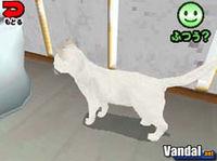 Cr�a gatos con Nintendo DS