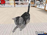 Cr�a gatos con Nintendo DS