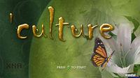 Culture XBLA