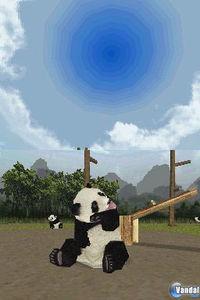 National Geographic Panda
