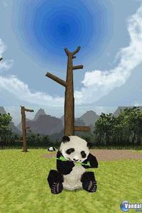 Pantalla National Geographic Panda
