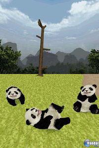 Imagen National Geographic Panda