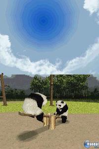 Imagen 2 de National Geographic Panda para Nintendo DS