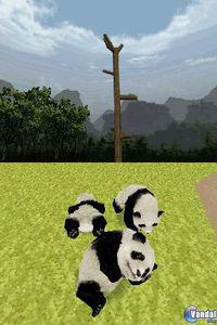 Imagen 1 de National Geographic Panda para Nintendo DS