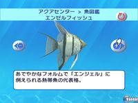 Imagen 2 de My Aquarium para Wii