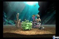 Imagen 5 de My Aquarium para Wii
