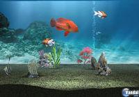 Nuevas im�genes de My Aquarium