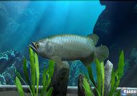 Nuevas im�genes de My Aquarium