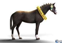 Imagen Riding Star