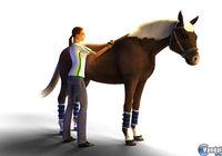 Imagen 1 de Riding Star para Nintendo DS