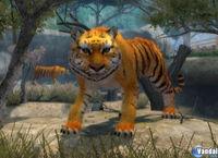 Imagen 8 de Zoo Hospital para Wii
