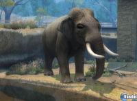 Imagen 7 de Zoo Hospital para Wii