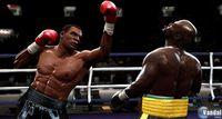 Im�genes de los boxeadores en Fight Night Round 4
