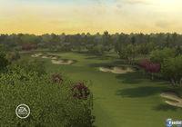 Imagen 3 de Tiger Woods PGA TOUR 09 para Wii