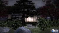 Primeras im�genes del juego de jardiner�a para PS3