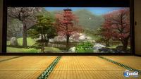 Primeras im�genes del juego de jardiner�a para PS3