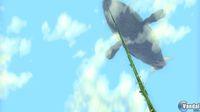 TGS: Nuevas im�genes de Rune Factory Frontier