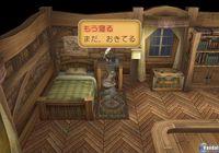 TGS: Nuevas im�genes de Rune Factory Frontier