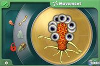 Nuevas im�genes y detalles de Spore para iPhone