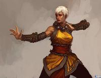 Blizzard muestra la versi�n femenina del monje de Diablo III