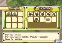 E3: Nuevas im�genes de Harvest Moon: Tree of Tranquility