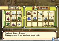 E3: Nuevas im�genes de Harvest Moon: Tree of Tranquility