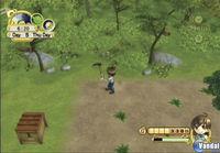 E3: Nuevas im�genes de Harvest Moon: Tree of Tranquility