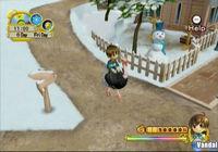 Natsume anuncia dos nuevos Harvest Moon