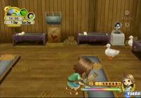 Natsume anuncia dos nuevos Harvest Moon