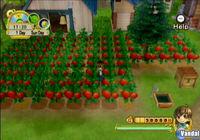 Natsume anuncia dos nuevos Harvest Moon
