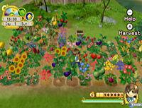 Imagen 60 de Harvest Moon: El �rbol de la tranquilidad para Wii