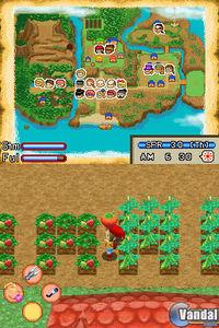 Imagen 24 de Harvest Moon: Island of Happiness para Nintendo DS